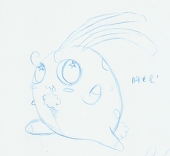 胸毛、兔