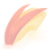 類