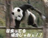31（みぃ）