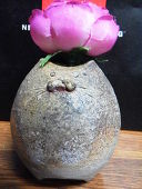pannaponta