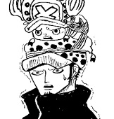 イルカ