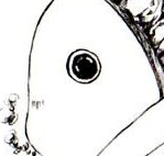 汐