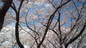 くお