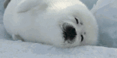 千山