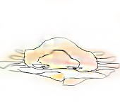 hoppo