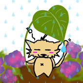 やまとめと