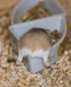 なぁ
