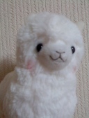 ろくた