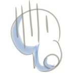 JuneGuitar