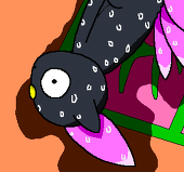 ブラック