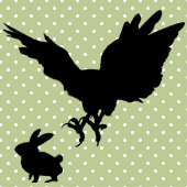 hawk＆rabbit