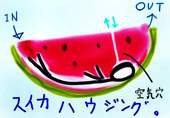 かぶせ茶