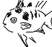 Lychi