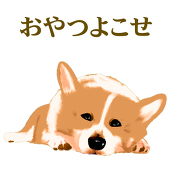 月花