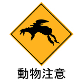 時