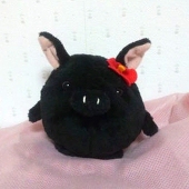 ここ