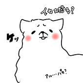 あるぱか