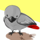 暗卡