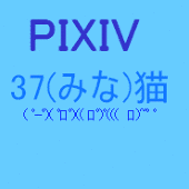 37猫*