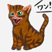 子猫犬