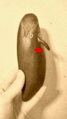 茄子