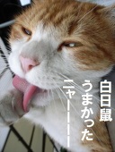 ハギア・ソフィア