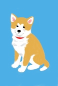 aniki