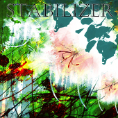 stabilizer+CHIN