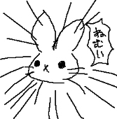百々海　夜