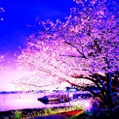 華夜