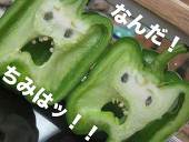 L’L綜合企画