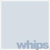 whips＠冬眠中