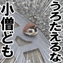 菊雅雀