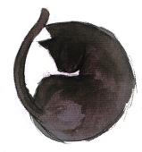 KiaTheBlackCat