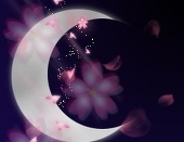 雪月花