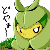 ソラ