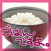 ごはん