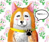 momoわんこ
