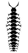 端島 炭素