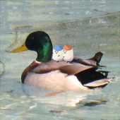 小串