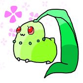 ももんのミ