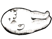 おくらほま