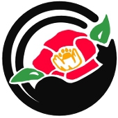 椿猫