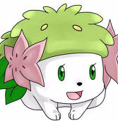 キラ