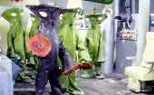 バンデラ