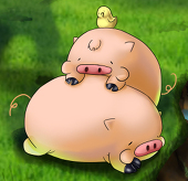 ぐり吉
