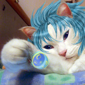 暗武猫猫