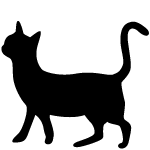 みーこ