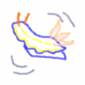 ウミウシ。