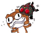 あなきんZ